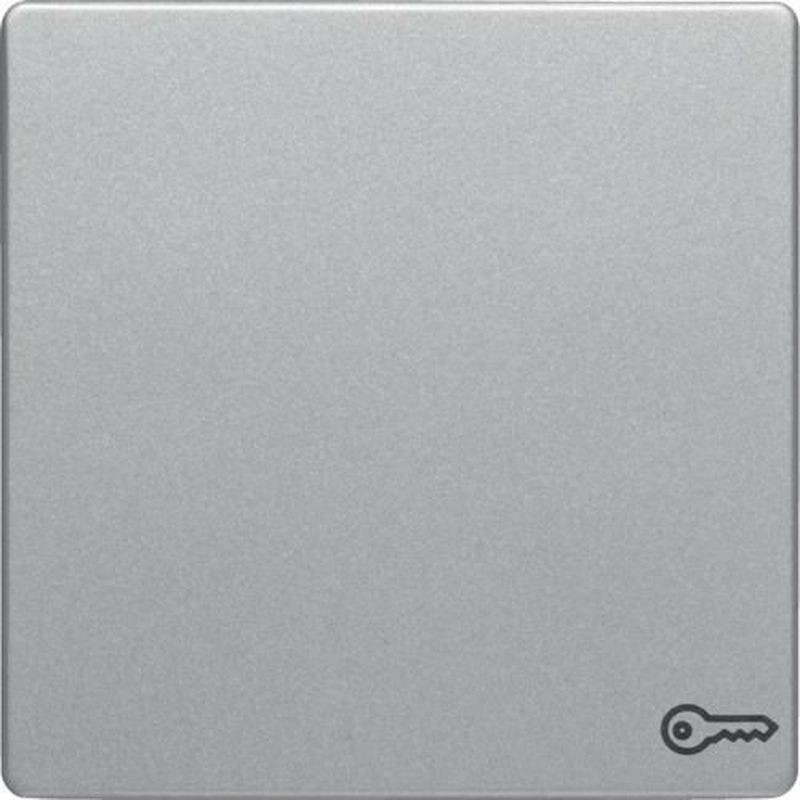 Hager sp. z o.o. Q.1/Q.3 Klawisz z nadrukiem symbolu klucz do łącznika 1-klawiszowego alu aksamit lakierowany 16206064