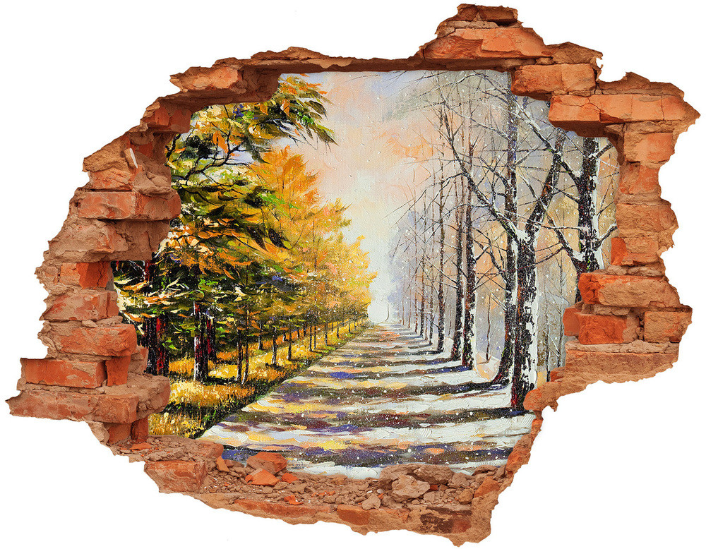 Wallmuralia.pl Dziura 3d fototapeta ścienna Jesień kontra zima