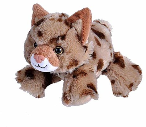 Wild Republic Parent Title