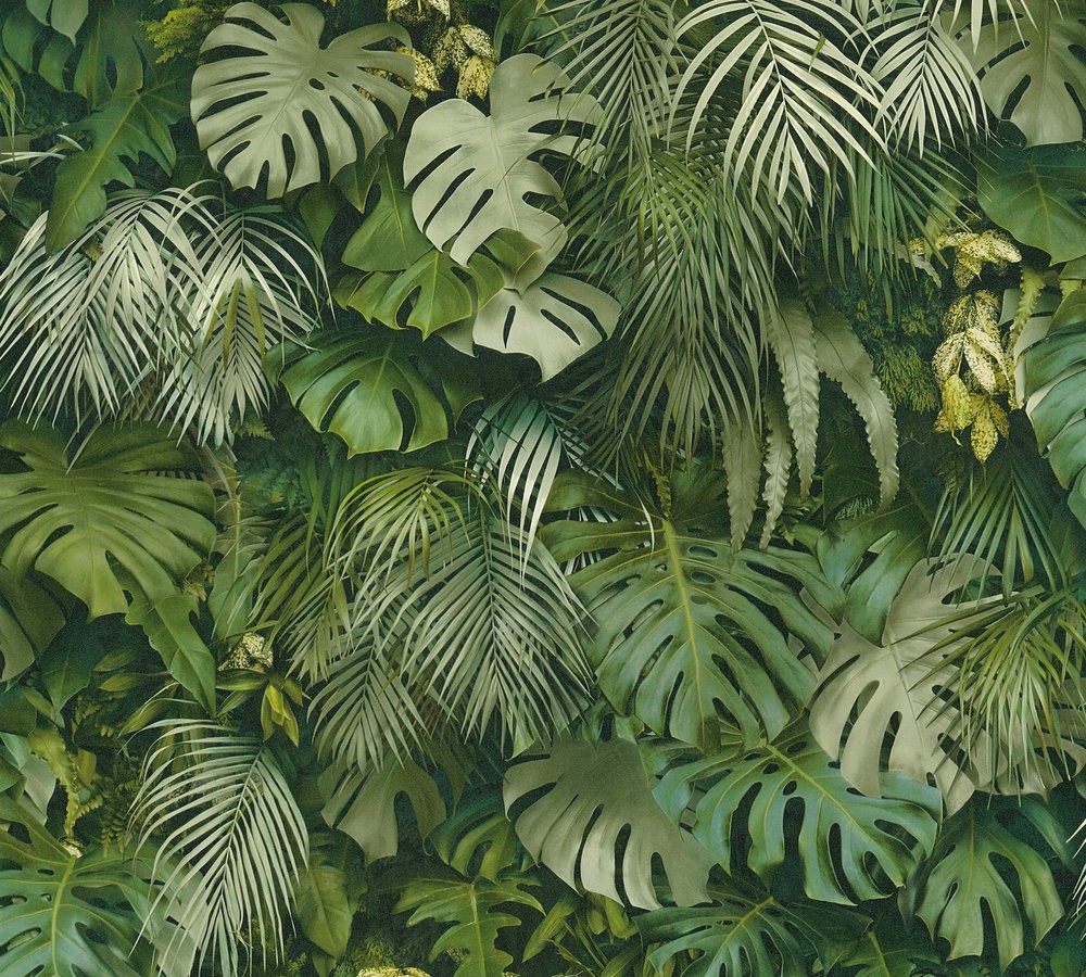 tapeta dżungla w zielone liście palmy