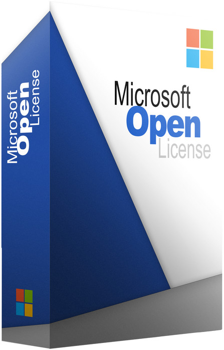 Microsoft WINENTLTSC 2019 Sngl Upgrade OLP 1License NoLevel KW4-00190