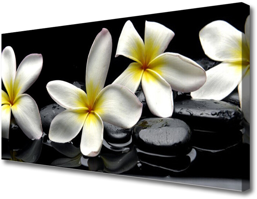 PL Tulup Obraz Canvas Piękny Kwiat Plumeria 120x60cm