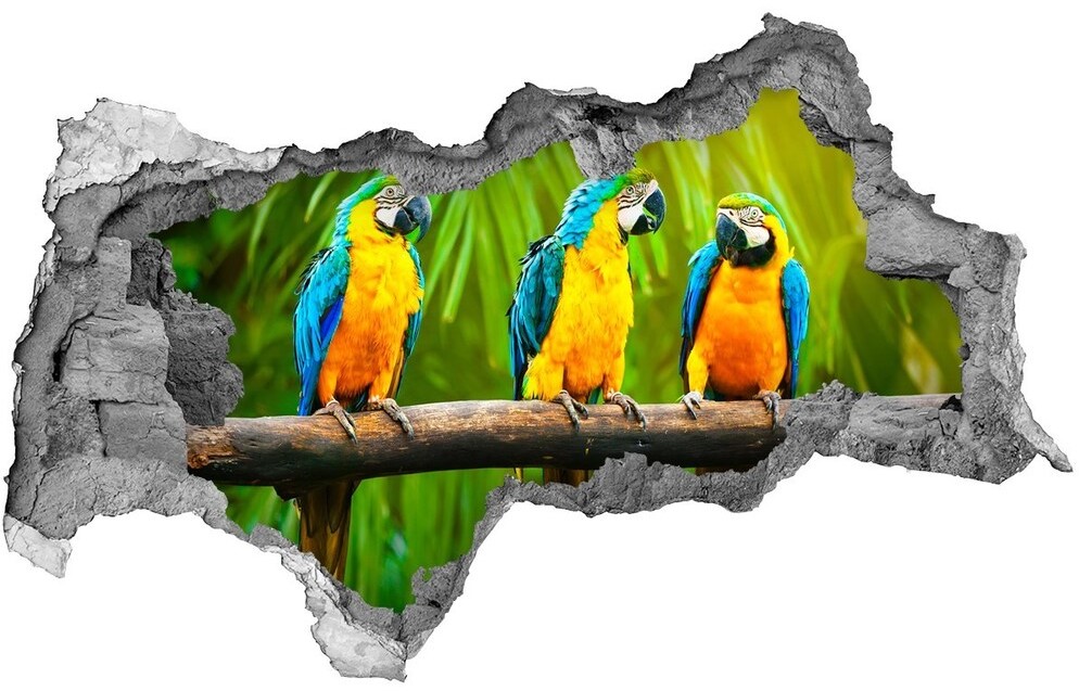 Wallmuralia.pl Dziura 3d fototapeta na ścianę Papugi na gałęzi