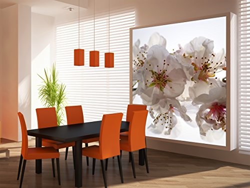 AG Design FTL 1608 orchidea, papier fototapeta  180 x 202 cm  2 części, papier, wielokolorowa, 0,1 x 180 x 202 cm FTL 1608