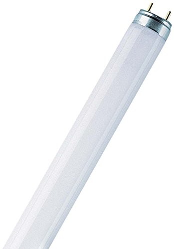 Osram Świetlówka L 15 Watt 954 światło dzienne światło dzienne 999041275046
