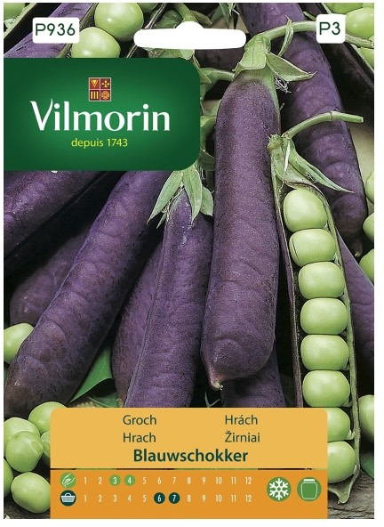 Vilmorin Nasiona groch fioletowy Blauwschokker
