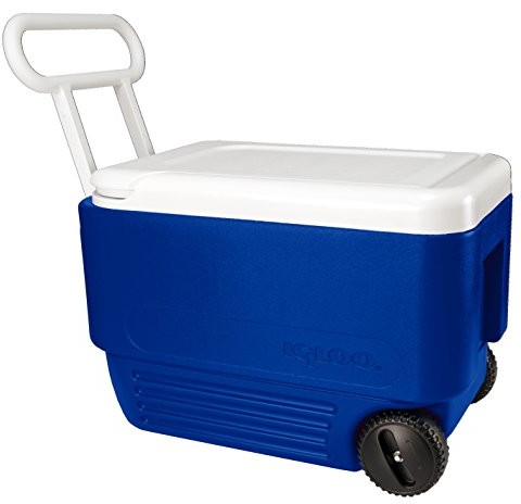 Cool Igloo Wheelie Beverage Cooler 38 Quart 00045004