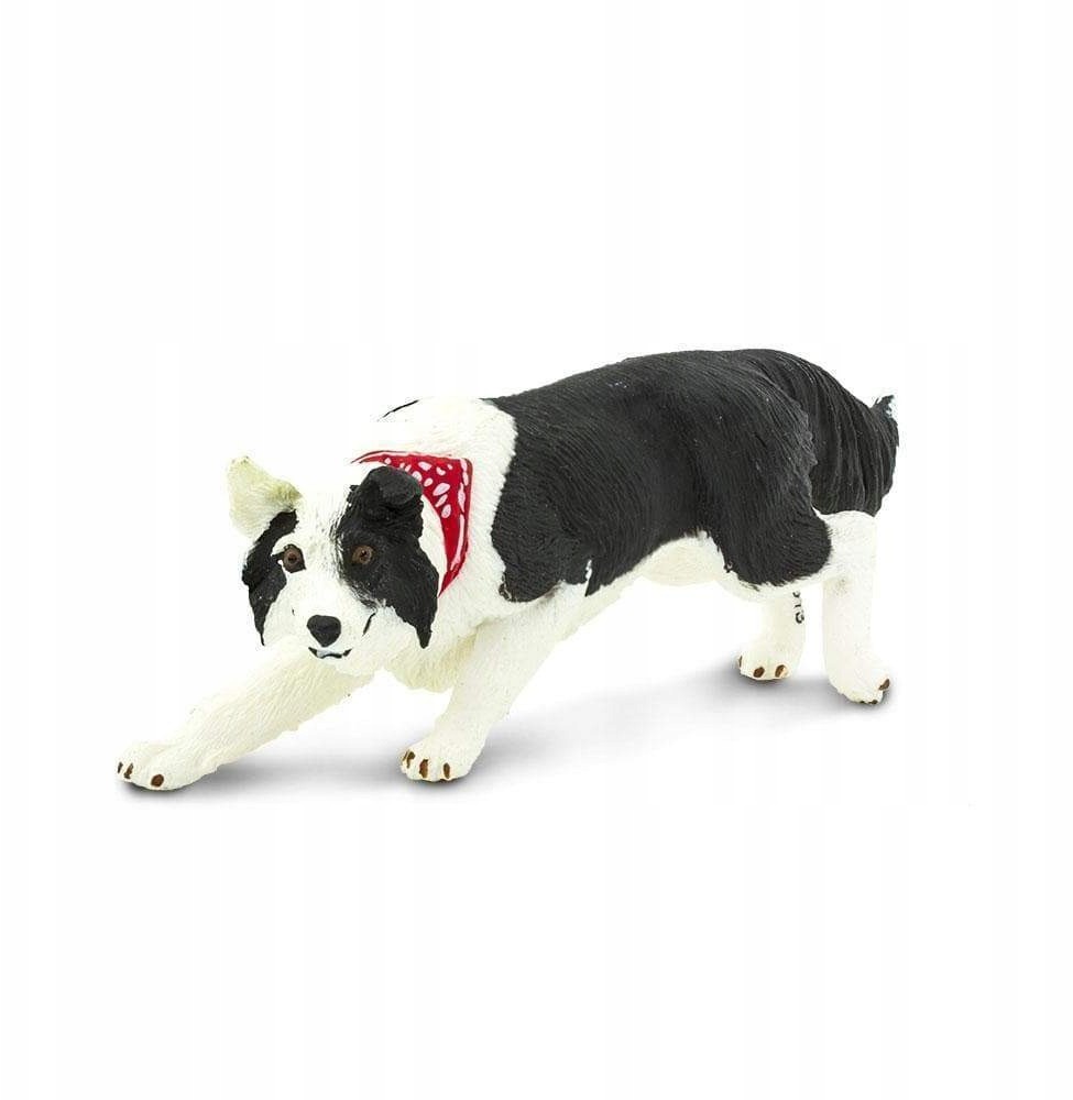 Safari Pies Border Collie - Ltd. - 254529