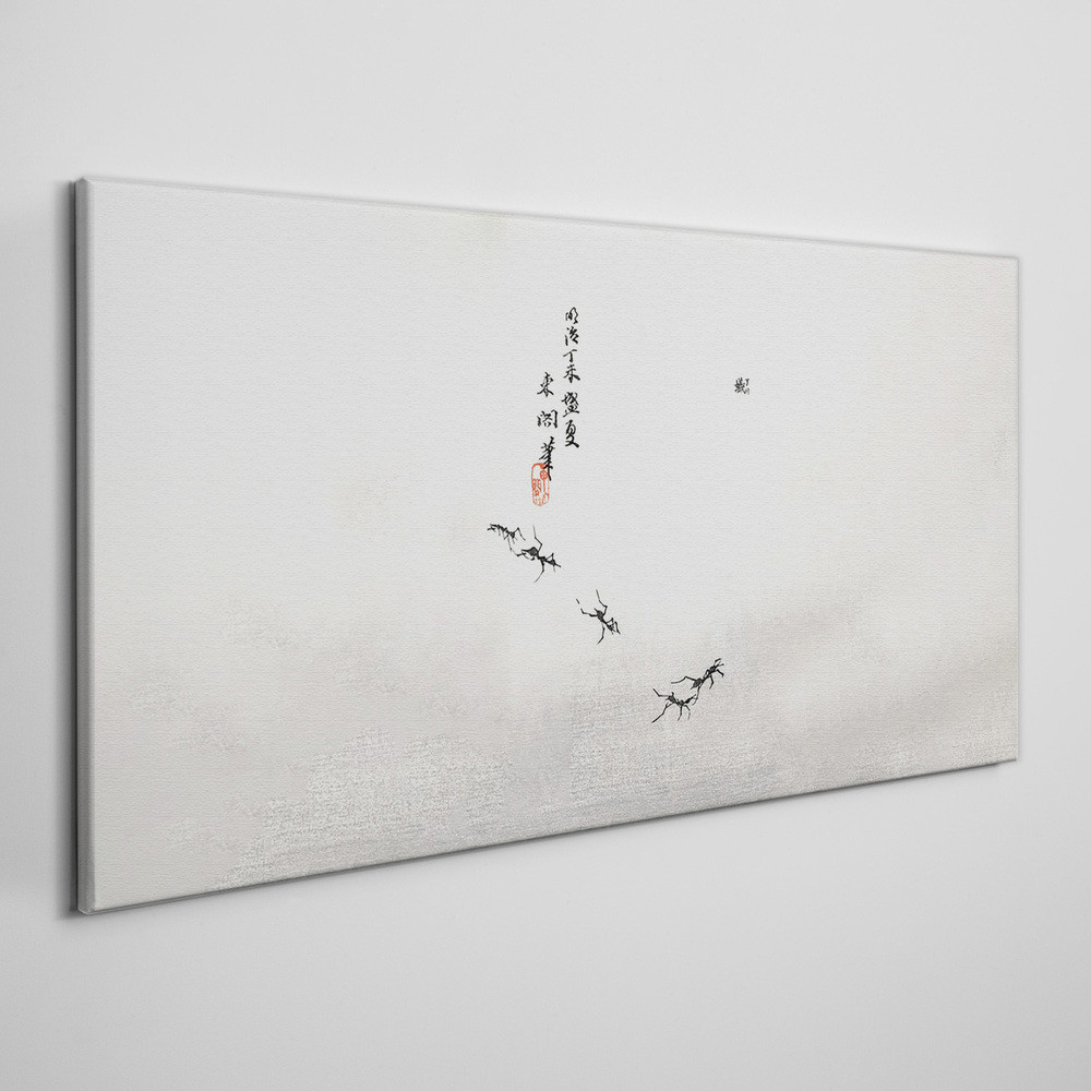 PL Coloray Obraz Canvas Owady Mrówki 120x60cm