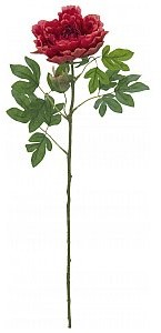 Europalms EUROPALMS Kwiat Piwonia classic, sztuczna roślina, magenta, 80cm 82530211