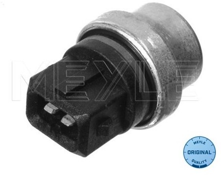 Wulf Gaertner Autoparts Czujnik, temperatura płynu chłodzącego Wulf Gaertner Autoparts 100 919 0024