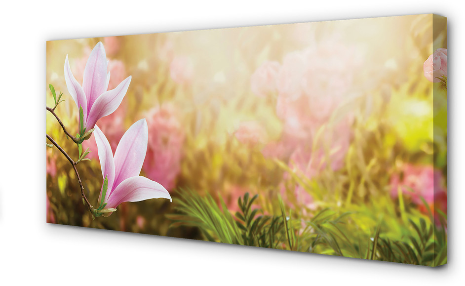 PL Tulup Obrazy na płótnie Magnolia drzewa słońce 100x50cm