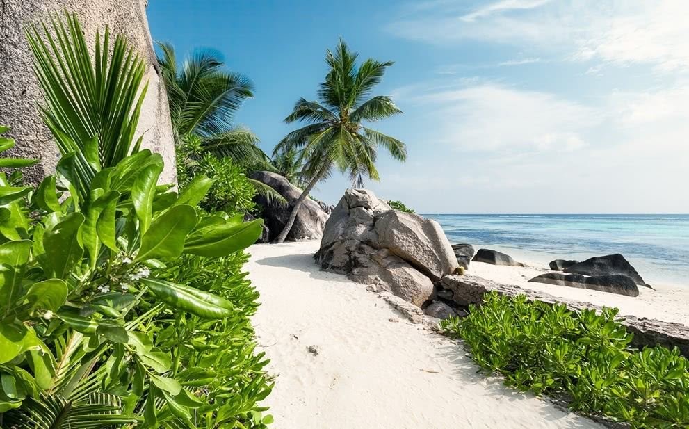 Komar Fototapeta Tagträume SHX9-084 SHX9-084