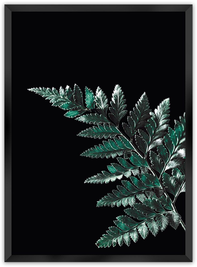 Dekoria Dekoria Plakat Dark Fern Leaf 50 x 70 cm Ramka Czarna 222E-000-19