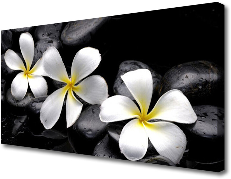 PL Tulup Obraz na Płótnie Kwiat Plumeria Roślina 120x60cm