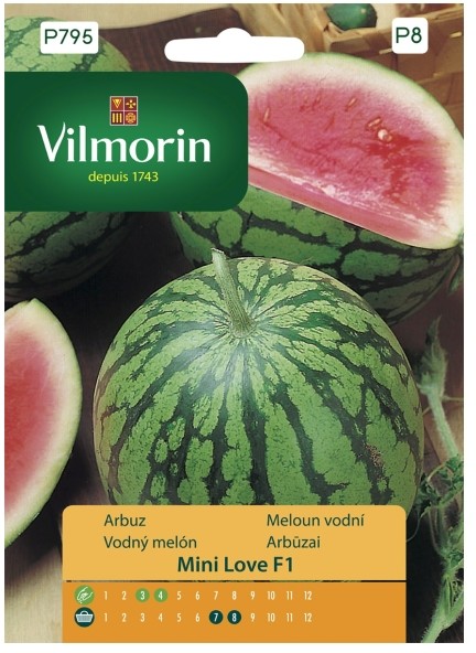 Vilmorin Nasiona arbuz Mini Love