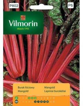 Vilmorin Nasiona burak liściowy czerwonolistny