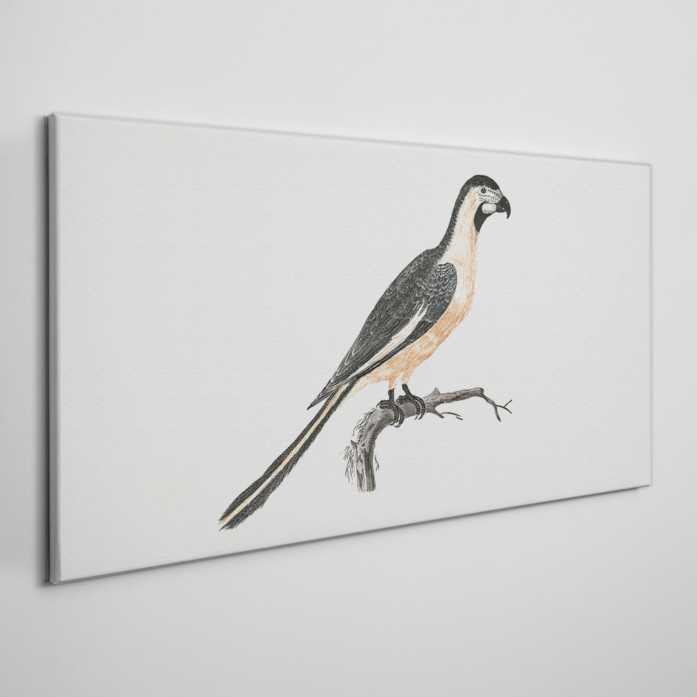 PL Coloray Obraz Canvas Rysunek zwierzę ptak gałąź 120x60cm