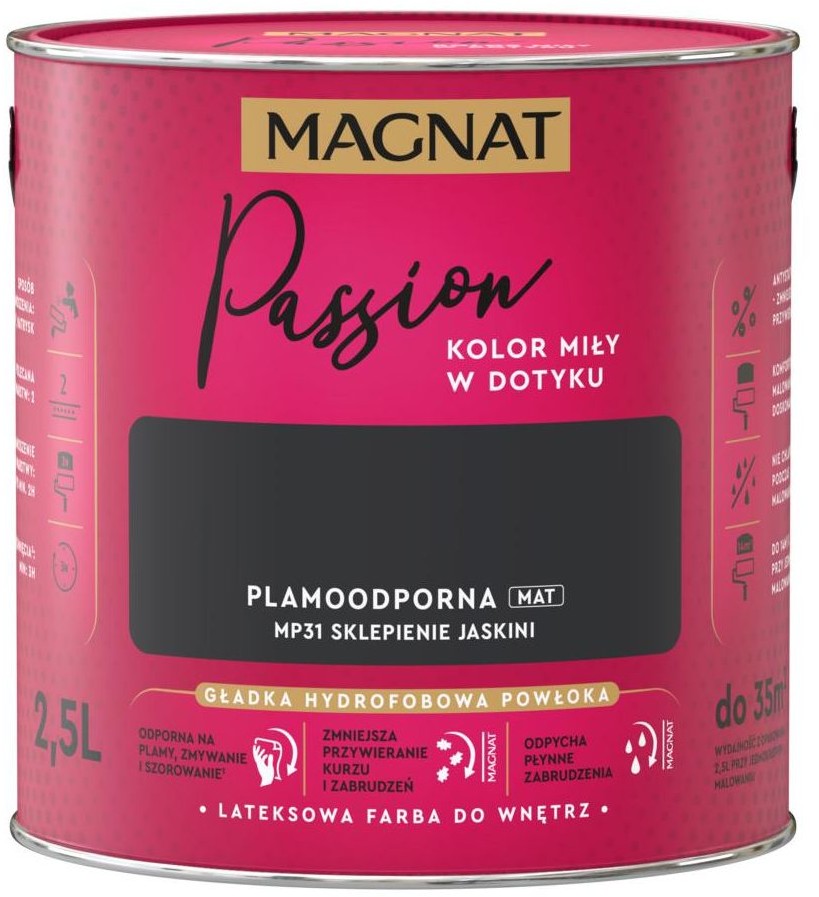 Magnat Farba Passion Sklepienie jaskini 2.5 l