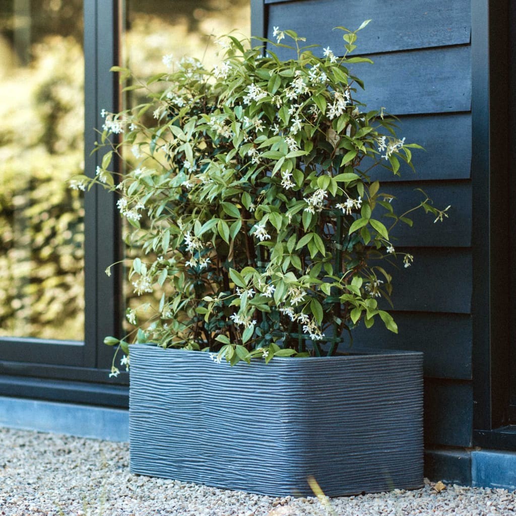 Blumfeldt Capi Nature Rib, prostokątna, 73x39x32 cm, ciemnoszara Capi Europe