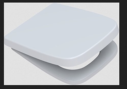 Toto Germany TOTO Germany Pagette Avoner P wolnoopadająca deska sedesowa, pasująca m. in. do miski sedesowej Renova Nr.1 Comprimo Neu 795660202