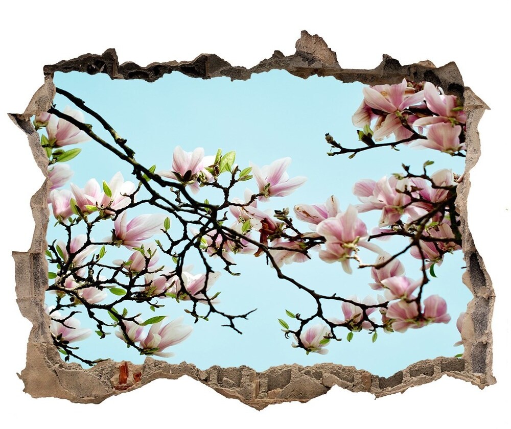 Wallmuralia.pl Samoprzylepna dziura naklejka Kwiaty magnolii