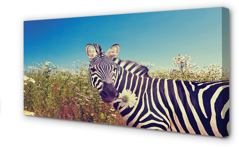 PL Tulup Obrazy na płótnie Zebra kwiaty 120x60cm