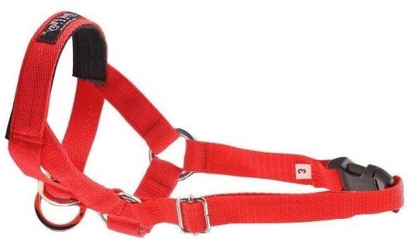 Ami Play Halter Basic N3 Cocker Spaniel 2 cm Czerwony