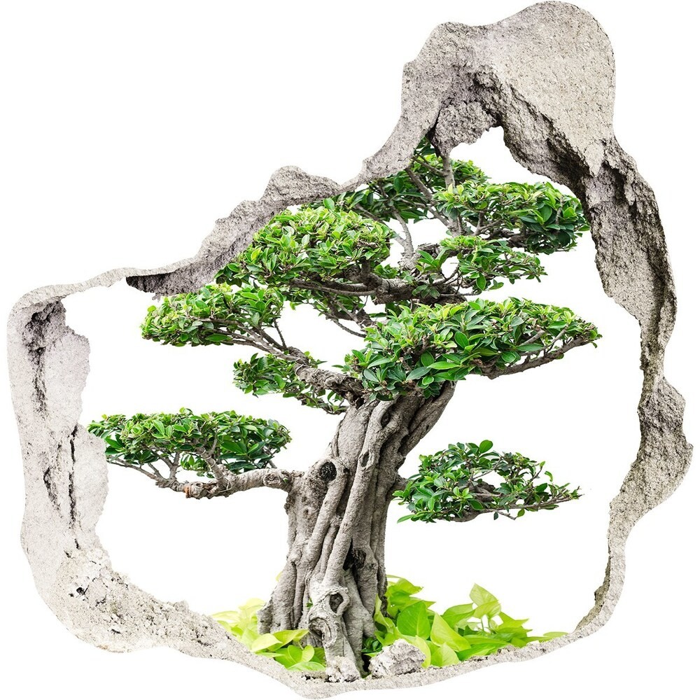 Wallmuralia.pl Samoprzylepna dziura na ścianę Drzewo bonsai