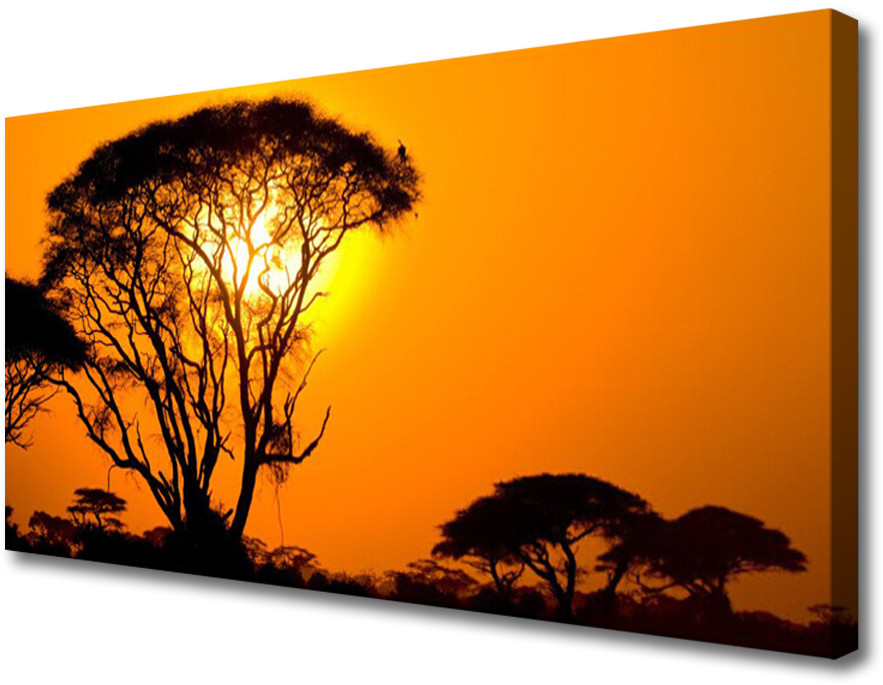 PL Tulup Obraz na Płótnie Drzewa Słońce Natura 100x50cm