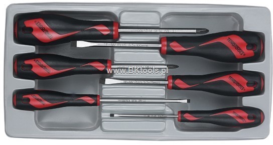 TENG TOOLS Zestaw wkrętaków płaskie i krzyżowe 6 szt 185900107 MD906N3