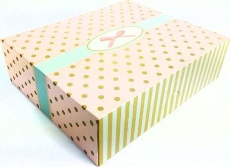 Beniamin Beniamin PUDEŁKO 230 x 230 x 105 mm 5 szt KROPKI OPAKOWANIE DO CIASTA opakowanie=szt Beniamin TARGI AI100BEN