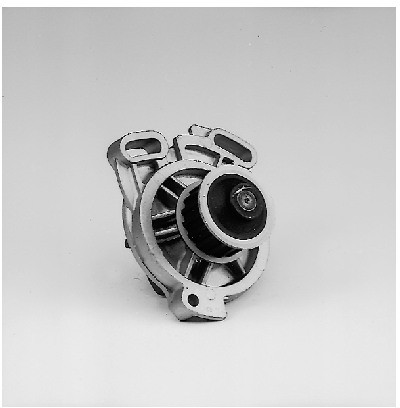 HEPU Pompa wodna P528