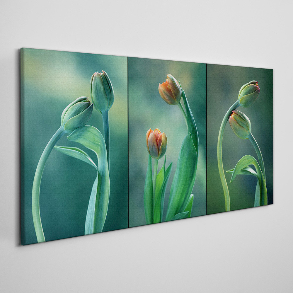 PL Coloray Obraz Canvas kwiaty rośliny tulipany 140x70cm