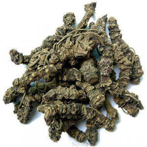 Song of india Kadzidło naturalne Waleriana Indyjska 25 g. Song of India