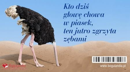 Bogulandia Magnes na lodówkę Kto dziś głowę chowa w piasek