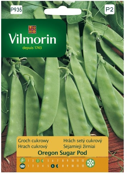 Vilmorin Nasiona groszek cukrowy Oregon Sugar Pod