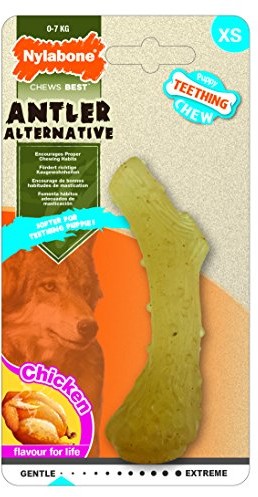 Nylabone Po właściwym Bone gryzaki zapewnia szczenięta Antler gryzaki dla psów NMPA300P