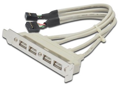 DIGITUS Digitus 0,25 m długość wtyczka A  2 X IDC 10-stykowego złącza USB Slotblech przewód AK-300304-002-E