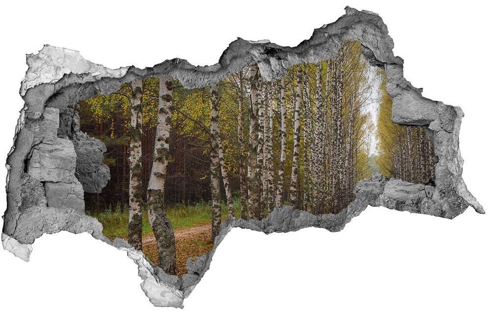 Wallmuralia.pl Dziura 3d w ścianie naklejka Aleja brzóz