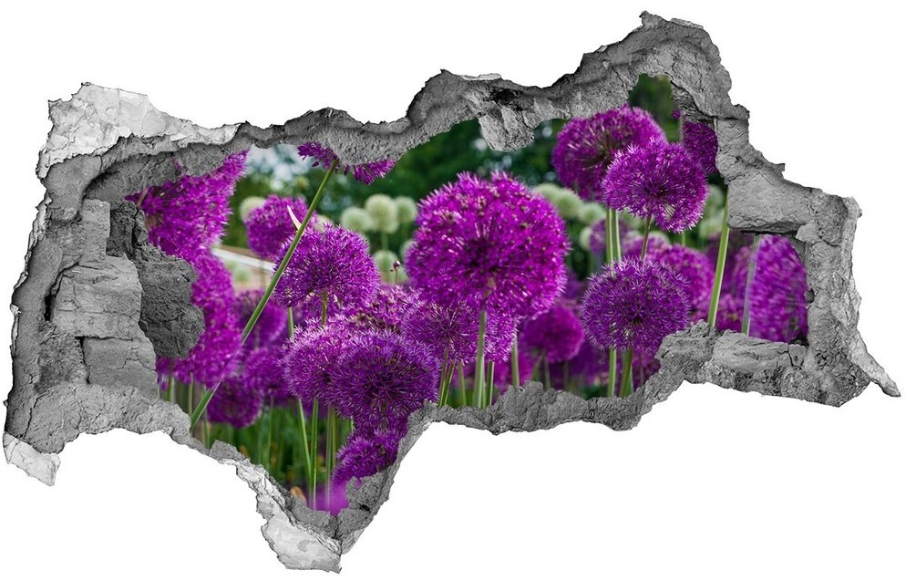 Wallmuralia.pl Naklejka 3D dziura samoprzylepna Kwiaty czosnku