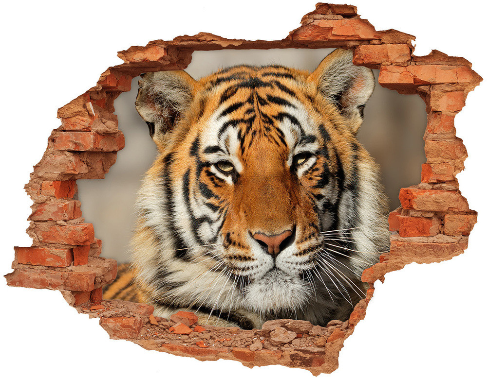 Wallmuralia.pl Dziura 3d foto tapeta naklejka Tygrys bengalski