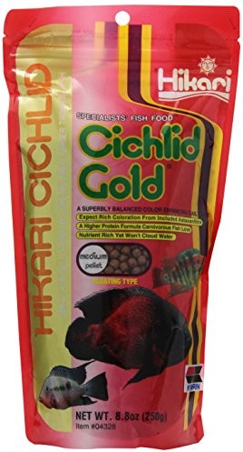 Hikari hikari (miasto) ryba podszewka cichlidgold Medium 250 G, 1er Pack (1 X 250 G)