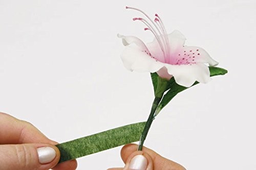 Decora 0803050 taśma do papieru na trzonku Zielony 27 m 0803050