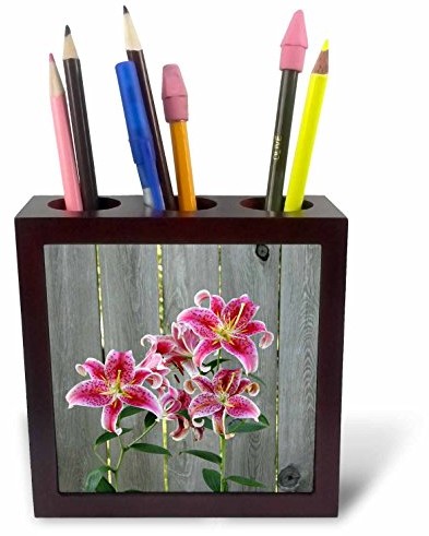 3dRose 3dRose ph_228229_1 15 cm