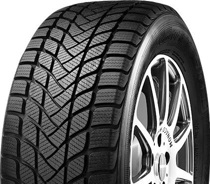 Mastersteel WINTER PLUS IS-W 205/50R17 93H