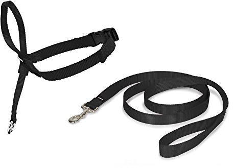 Premier petsafe Easy Walk psów uzda, m, czarny