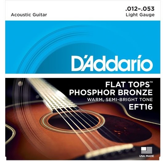 D'Addario EFT ścienny TOPS Acoustic Guitar Strings EFT16