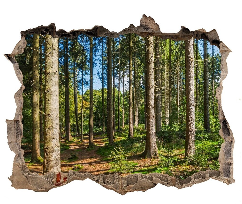 Wallmuralia.pl Fotoobraz dziura na ścianę Pióra i kwiaty