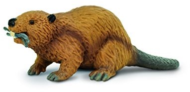 Safari s283629 miniatura: Żaba, dzikich Biber z serii Wild S283629
